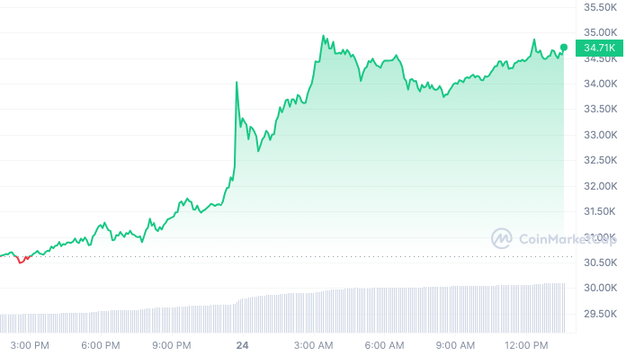 BTC_1D_graph_coinmarketcap