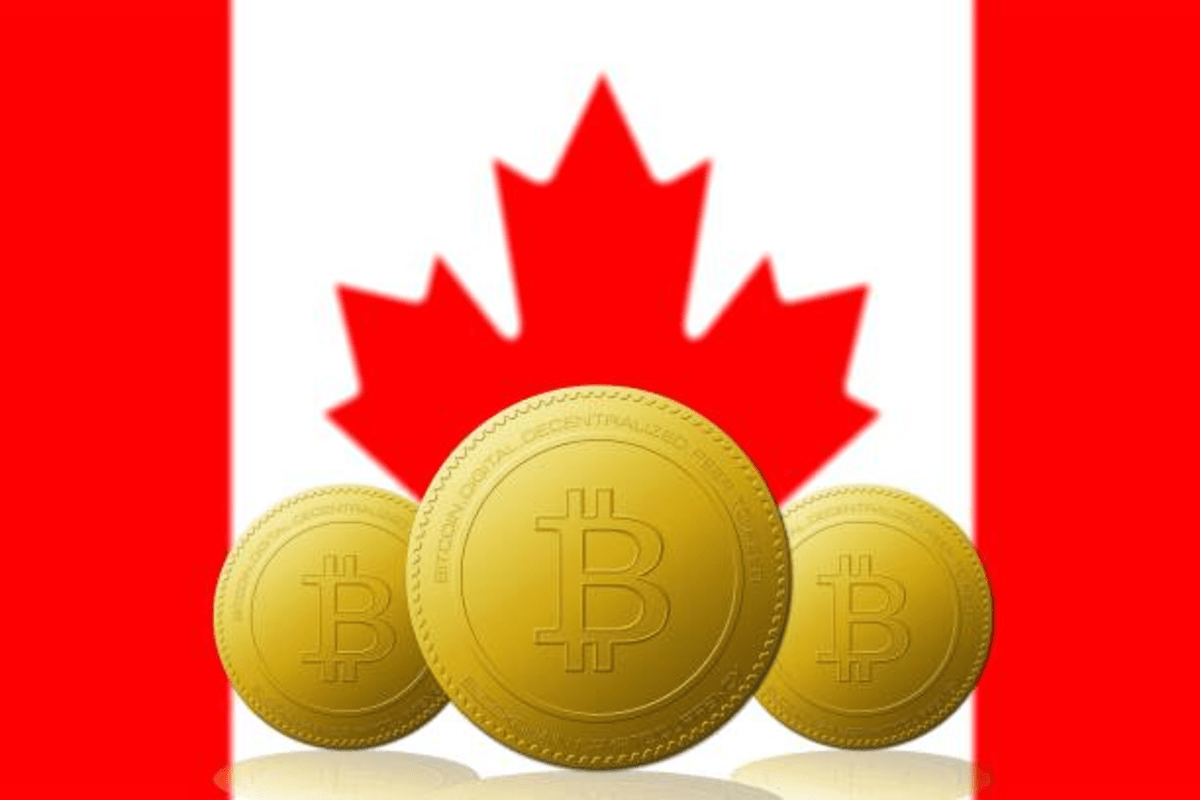 Canadian Institutional Investors