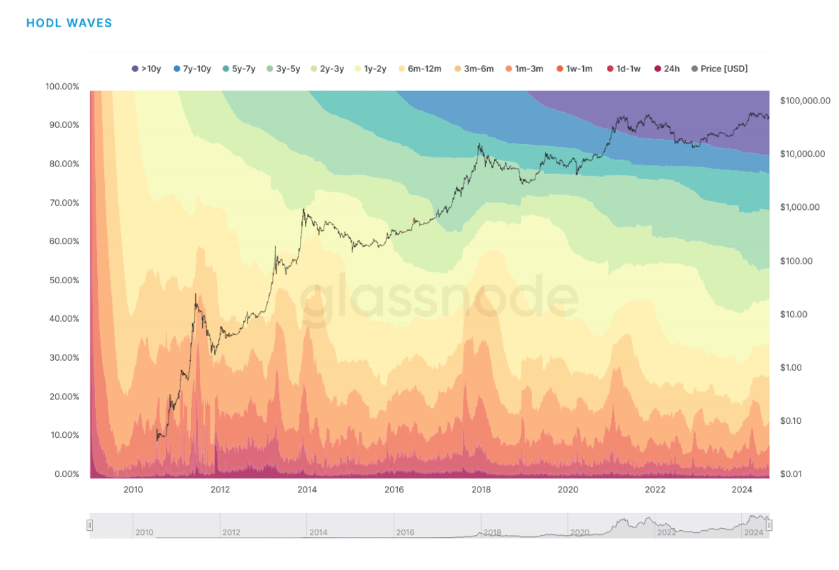 Bitcoin Hodling
