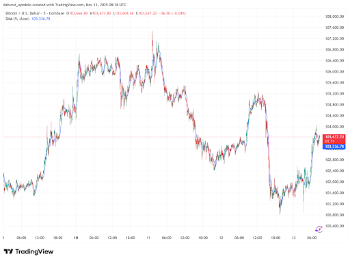 Bitcoin’s price has only risen marginally since the shutdown resolution began
